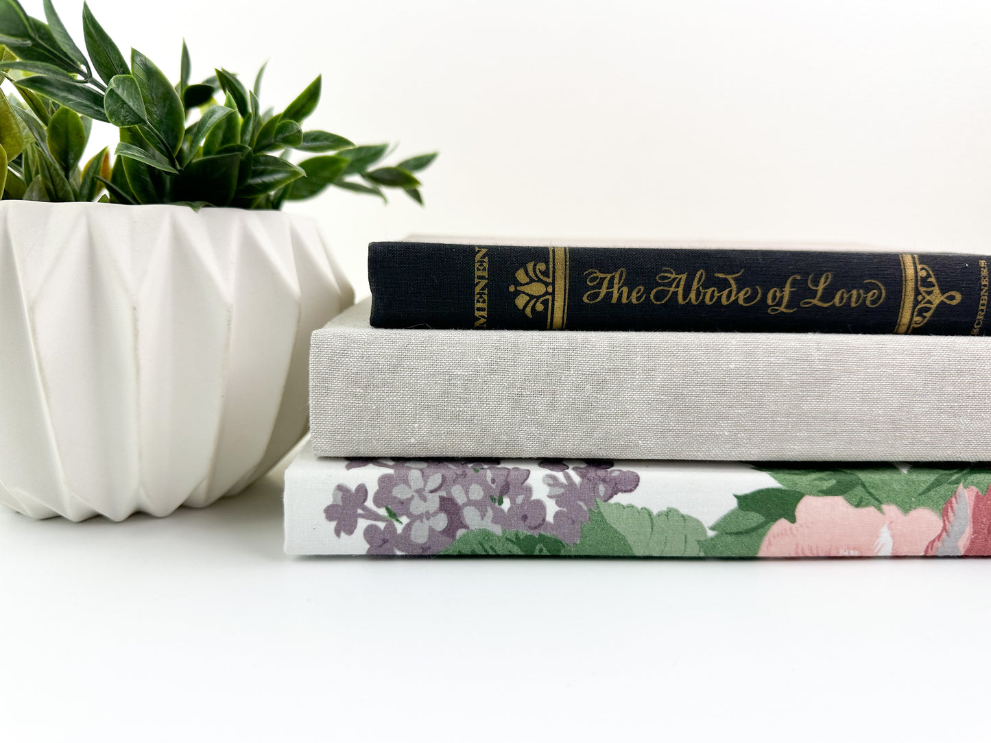 Decorative Book Set