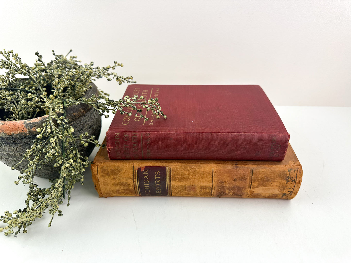 Red and Brown Rustic Book Set