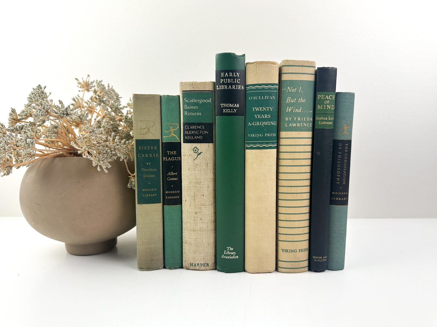 Decorative Book Set