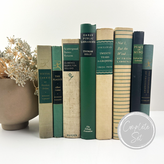 Decorative Book Set