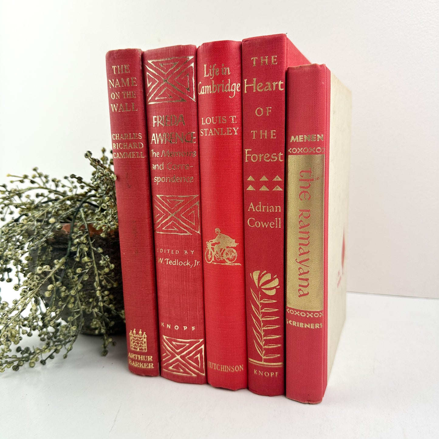 Red Vintage Books