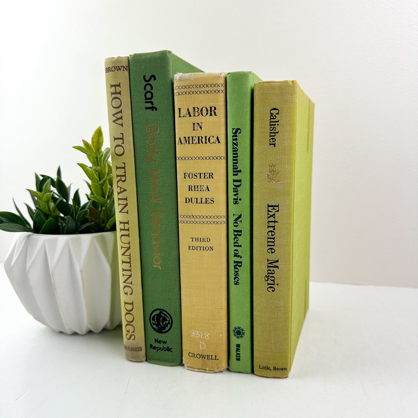 Green Vintage Books for Shelf Decor