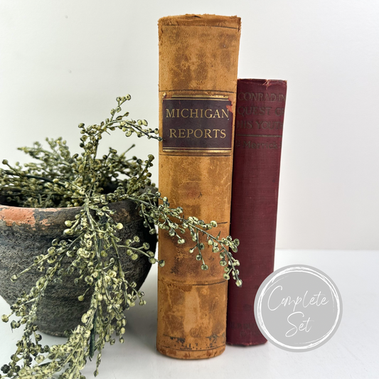 Red and Brown Rustic Book Set