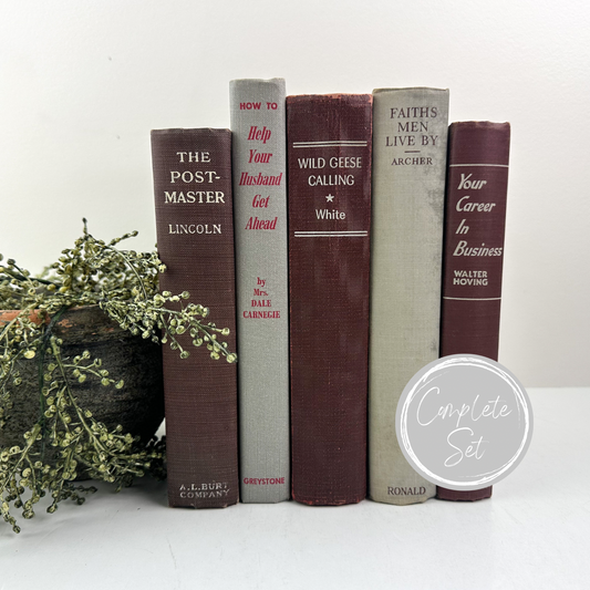 Red and Gray Book Bundle