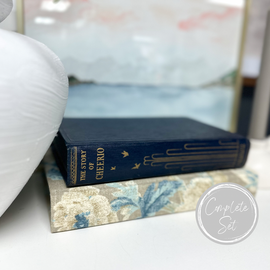 Blue Books for Decor