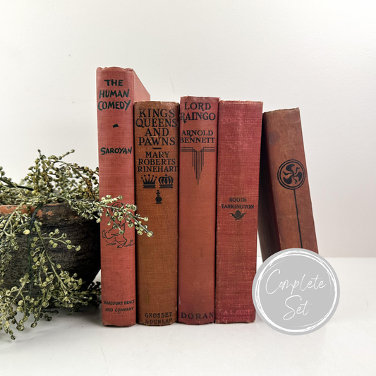 Decorative Book Set