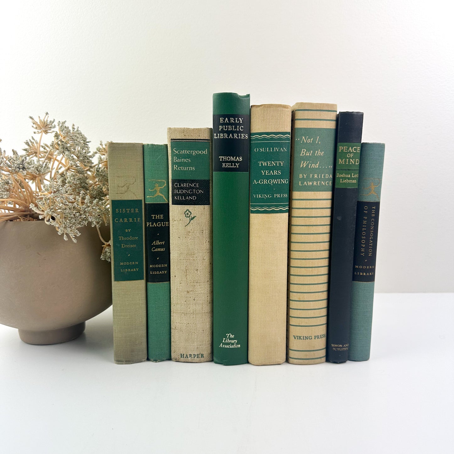 Decorative Book Set