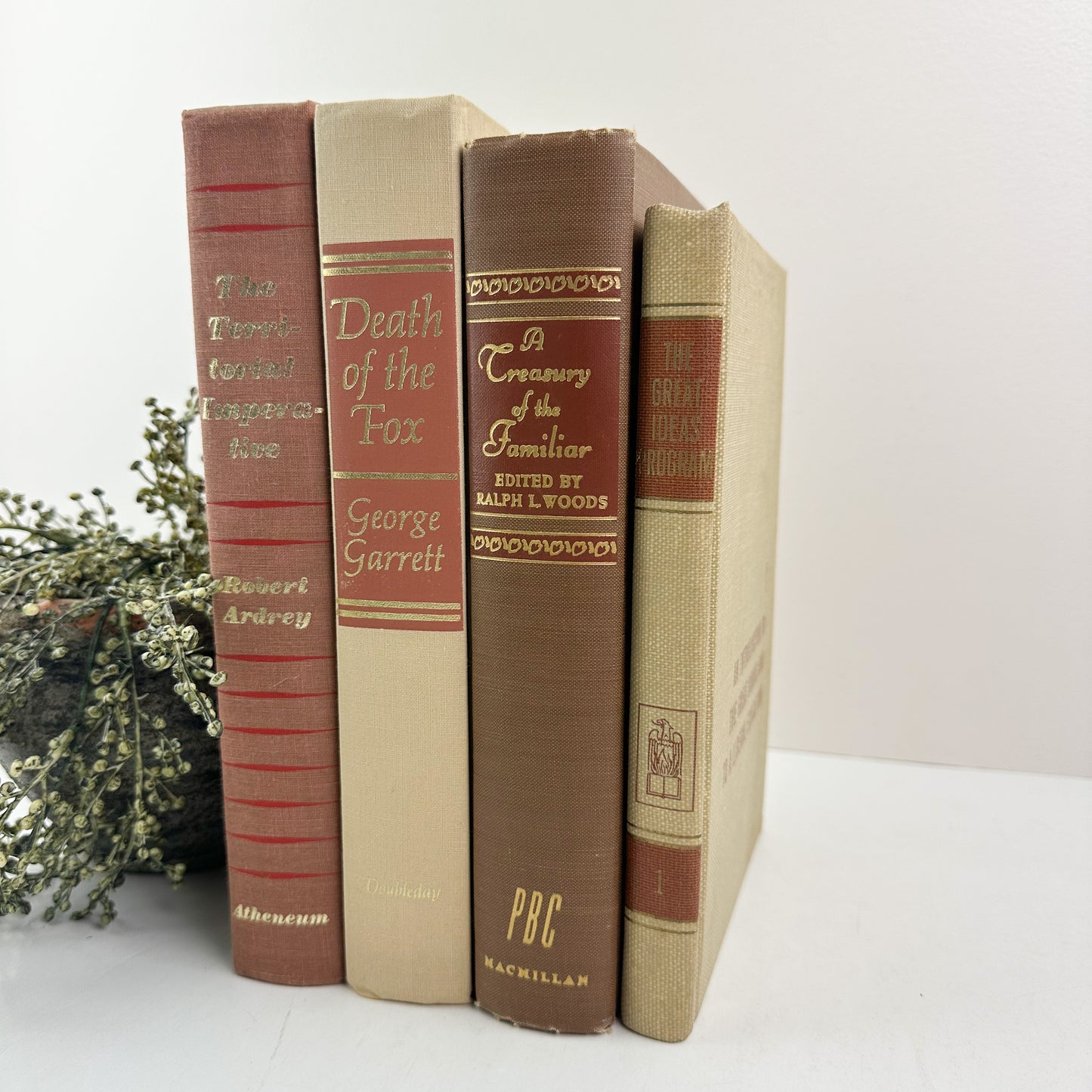 Classic Brown Books for Bookshelf Design