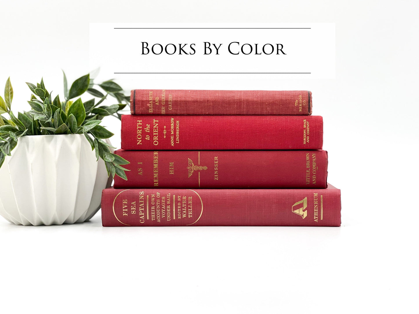 Books for Shelf Decor