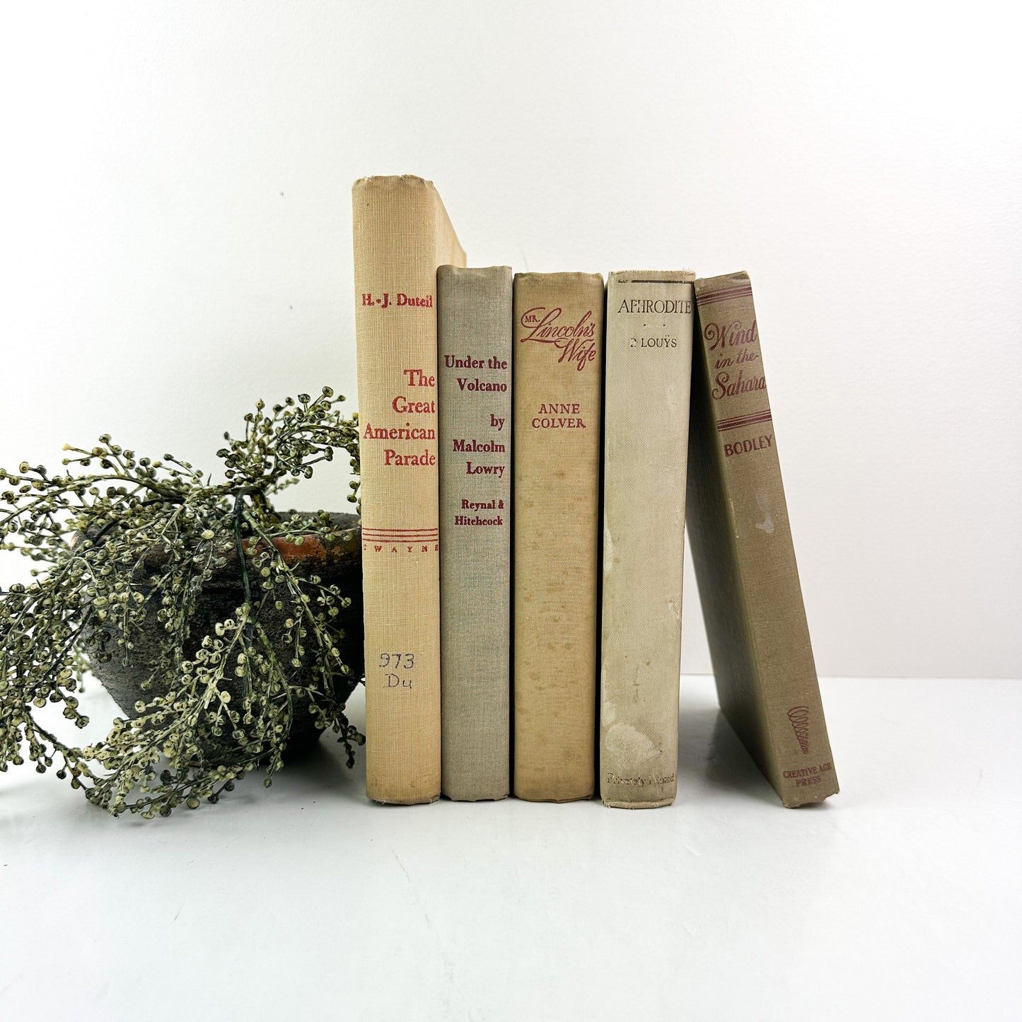 Books for Shelf Decor, Living Room Decor, Modern Decor, Book Bundle, Book Set