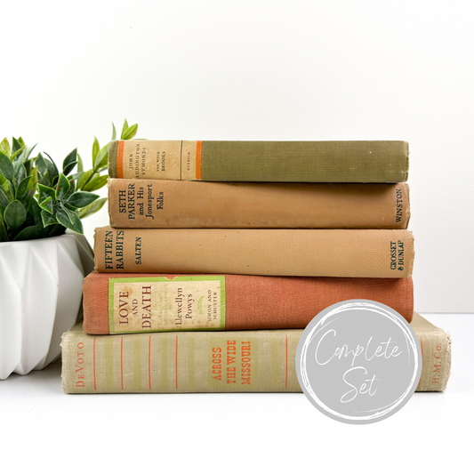 Vintage Book Set for Mantle Decor