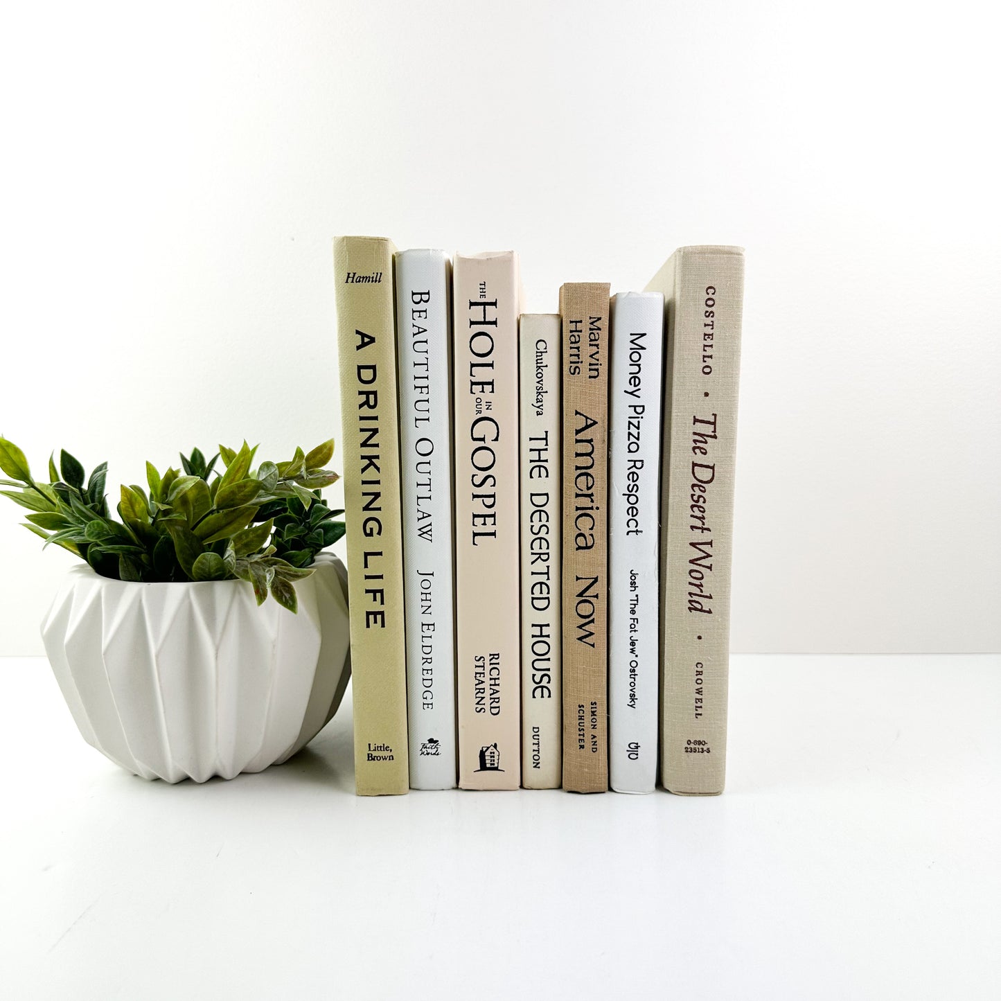 Cream Bookshelf Decor