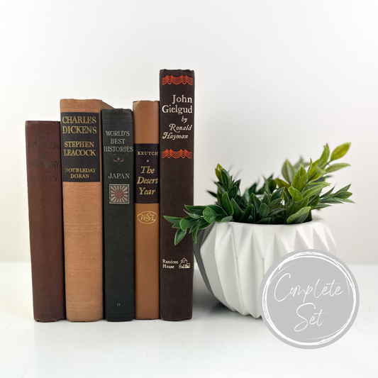 Decorative Book Set