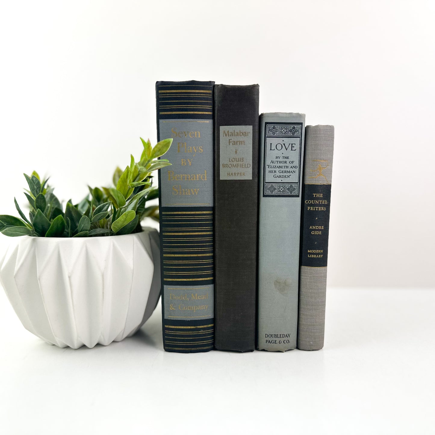 Classic Shelf Design with Books