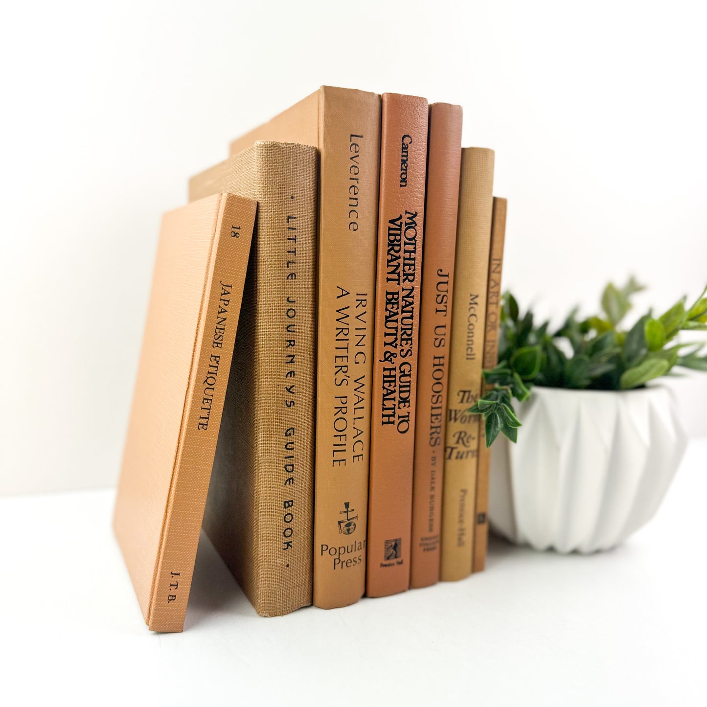 Brown Books for Home Accents