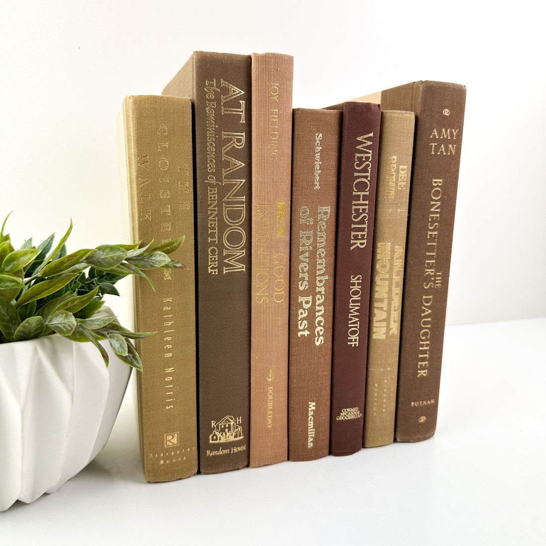 Brown Books by Color Elements