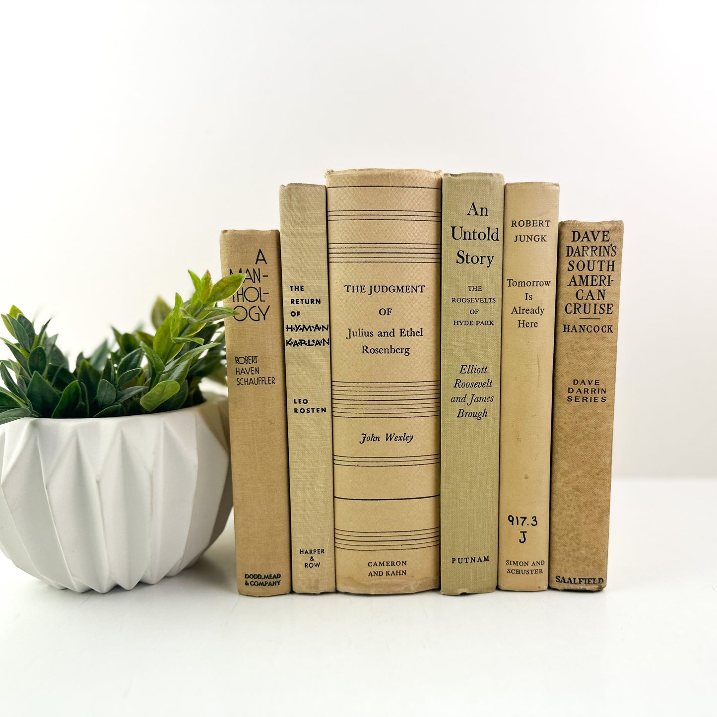 Cream and Blue Staging Books