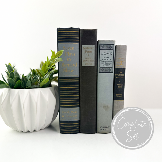 Classic Shelf Design with Books