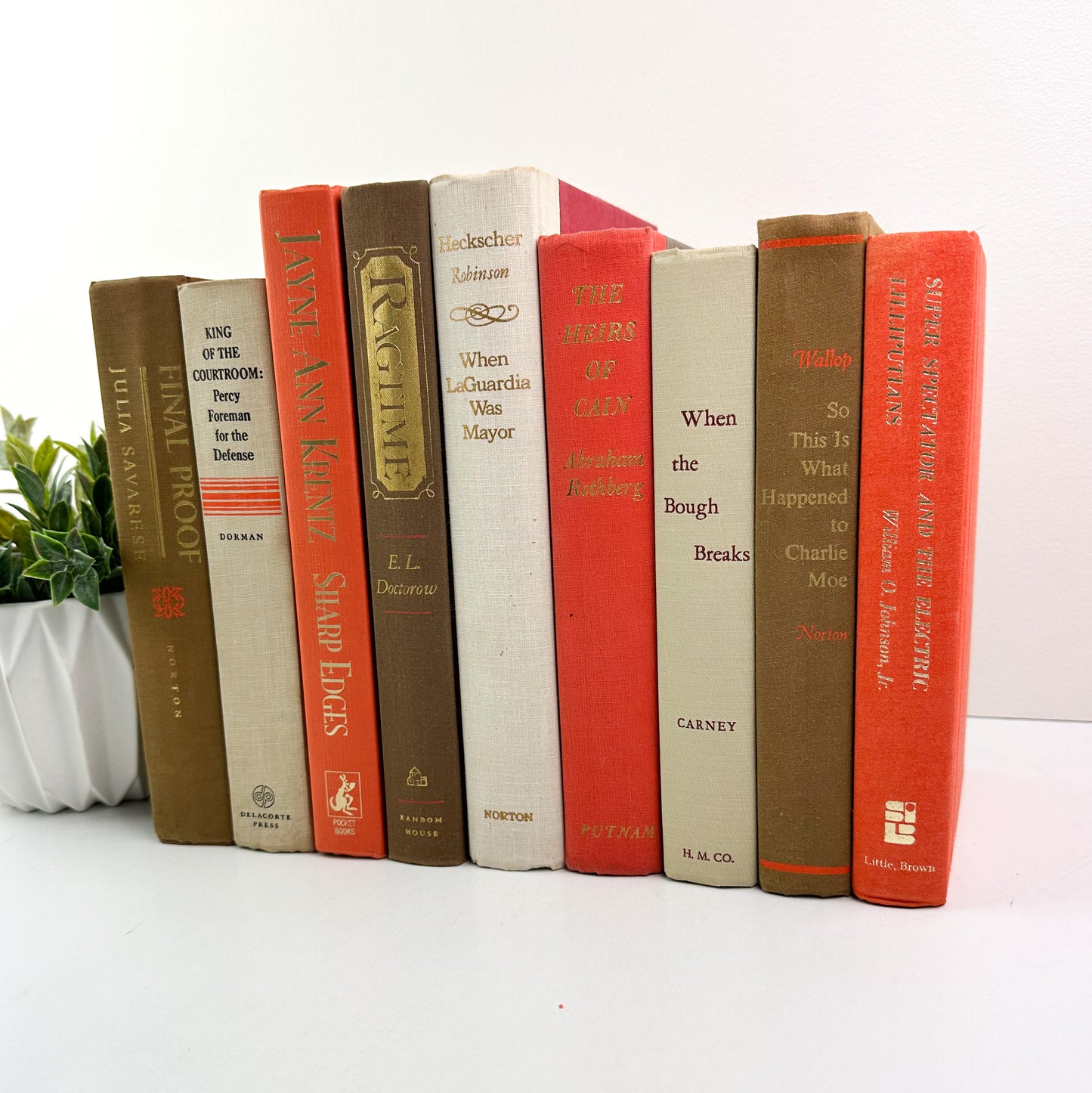 Decorative Book Set