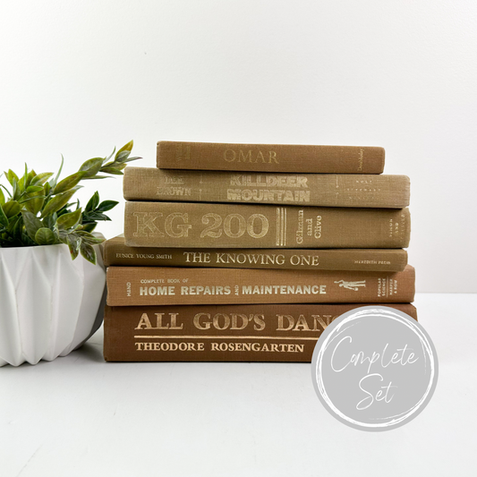 Decorative Book Set