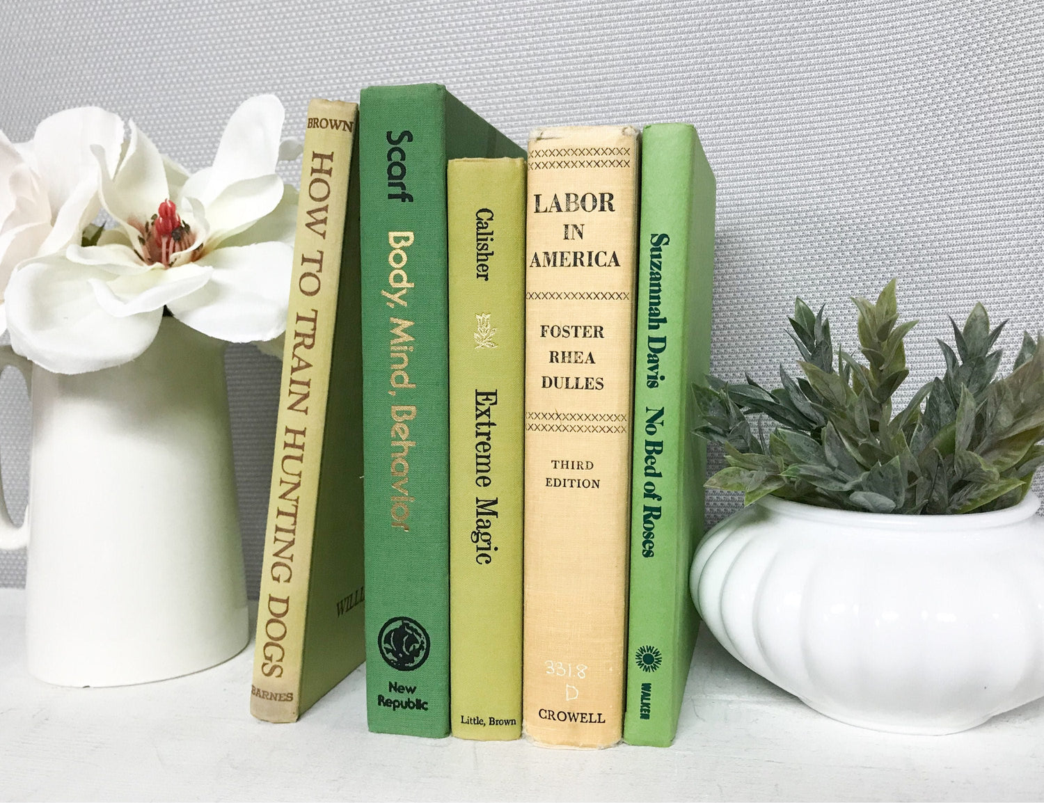 Green Vintage Books for Shelf Decor