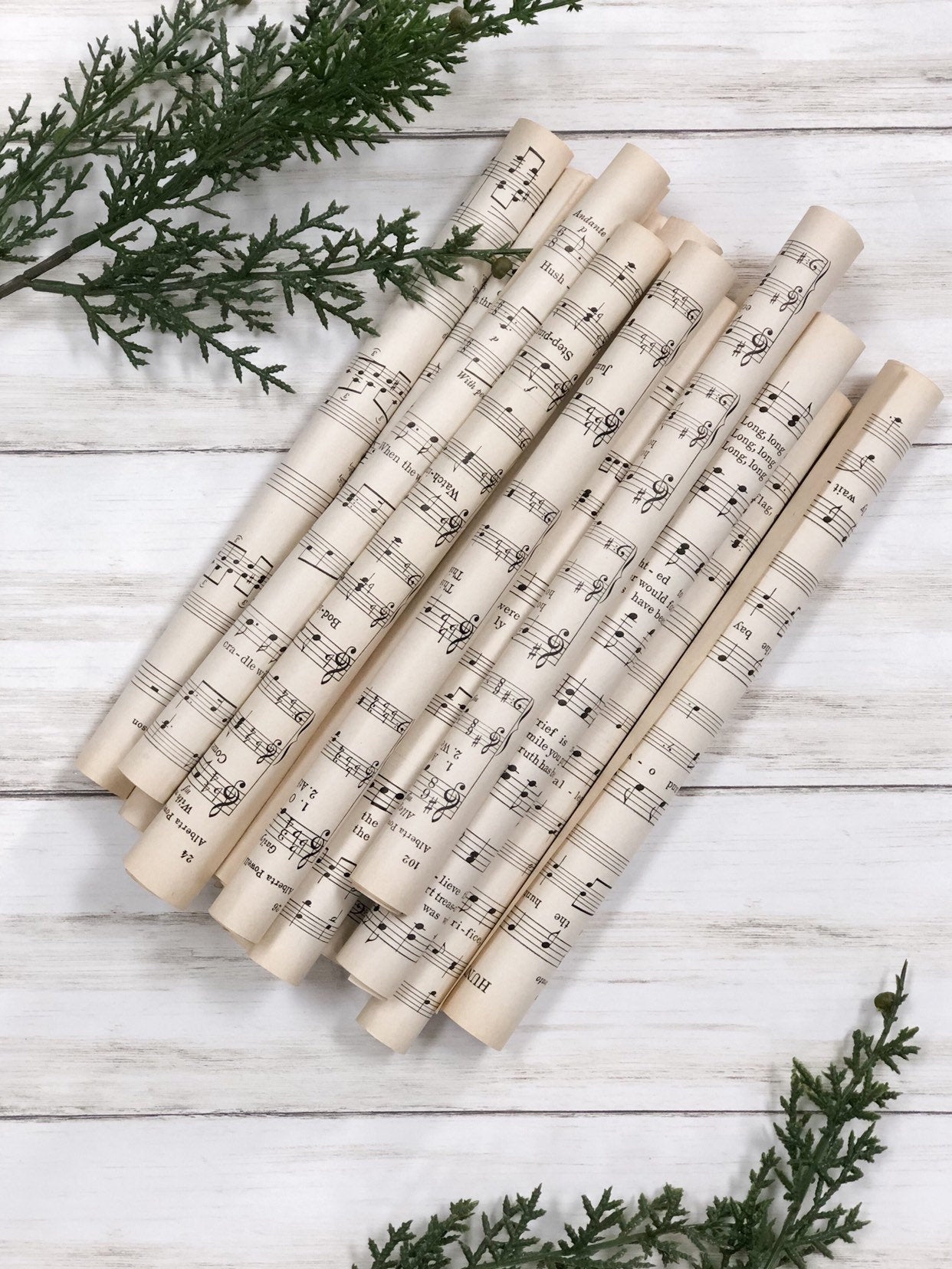 Vintage Music Sheets Rolled / Scroll