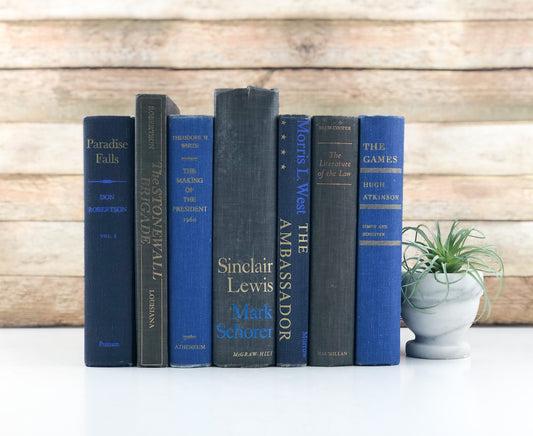 Blue and Gray Books by the Foot