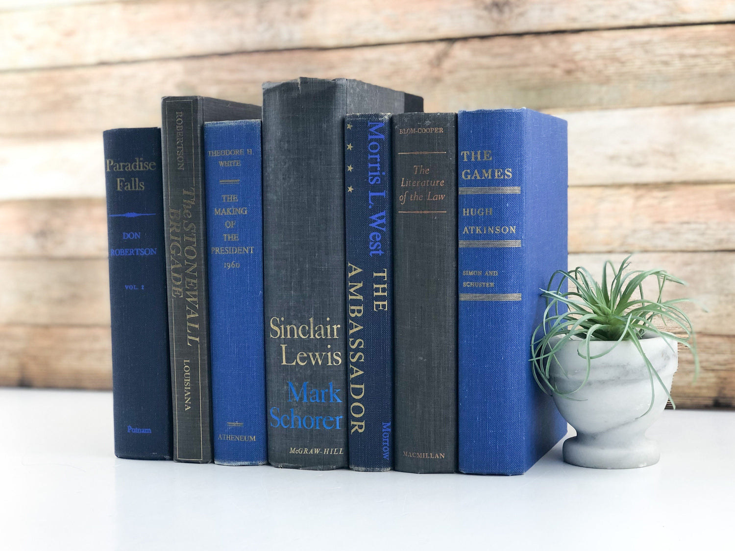 Blue and Gray Books by the Foot
