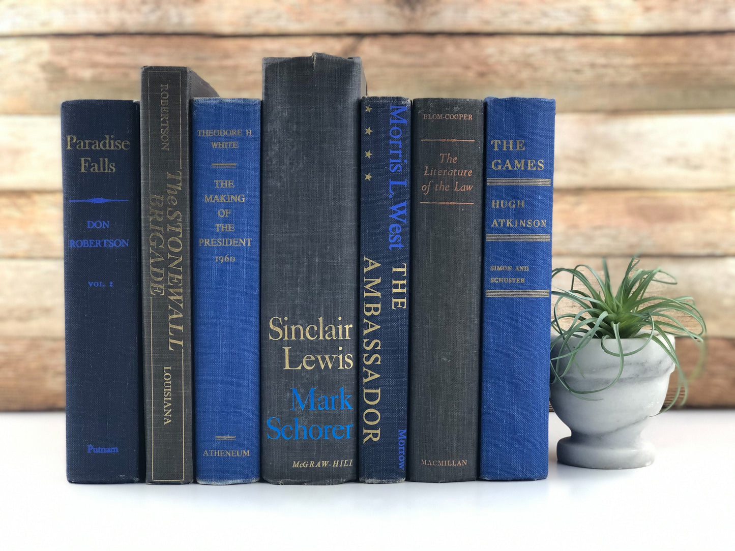 Blue and Gray Books by the Foot