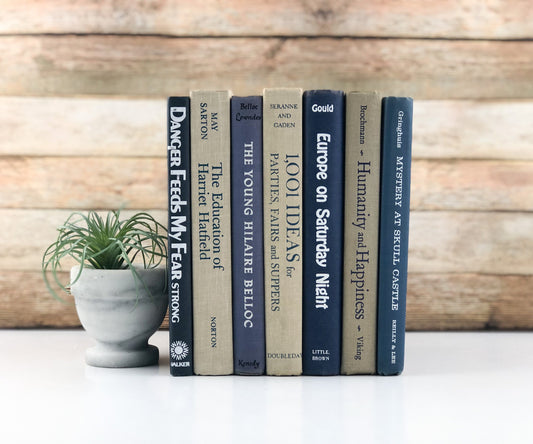 Books for Shelf Decor