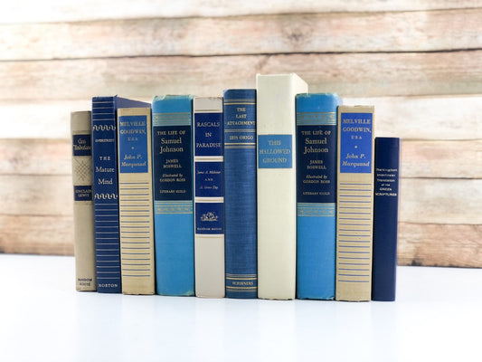 Blue and Cream Decorative Books 