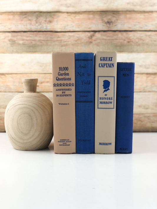 Blue and Cream Modern Home Decor