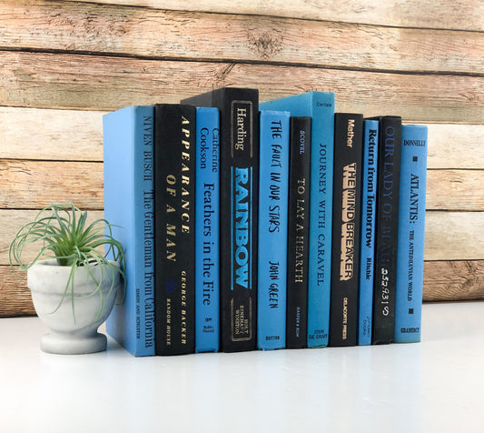 Blue and Black Vintage Decor