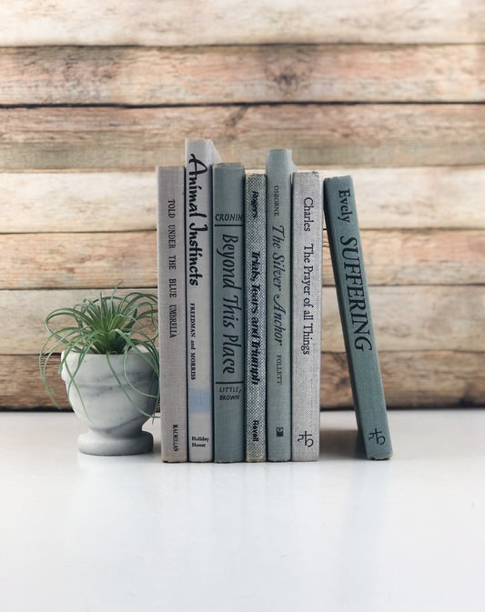 Books for Decor