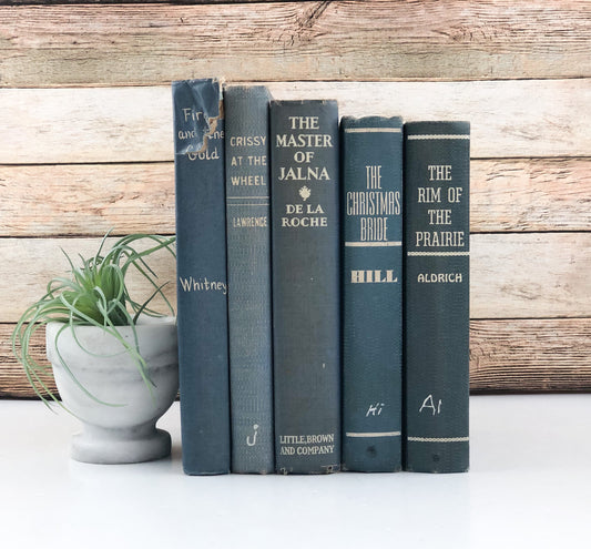 Blue Set of Books