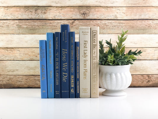 Blue and Cream Book Bundle