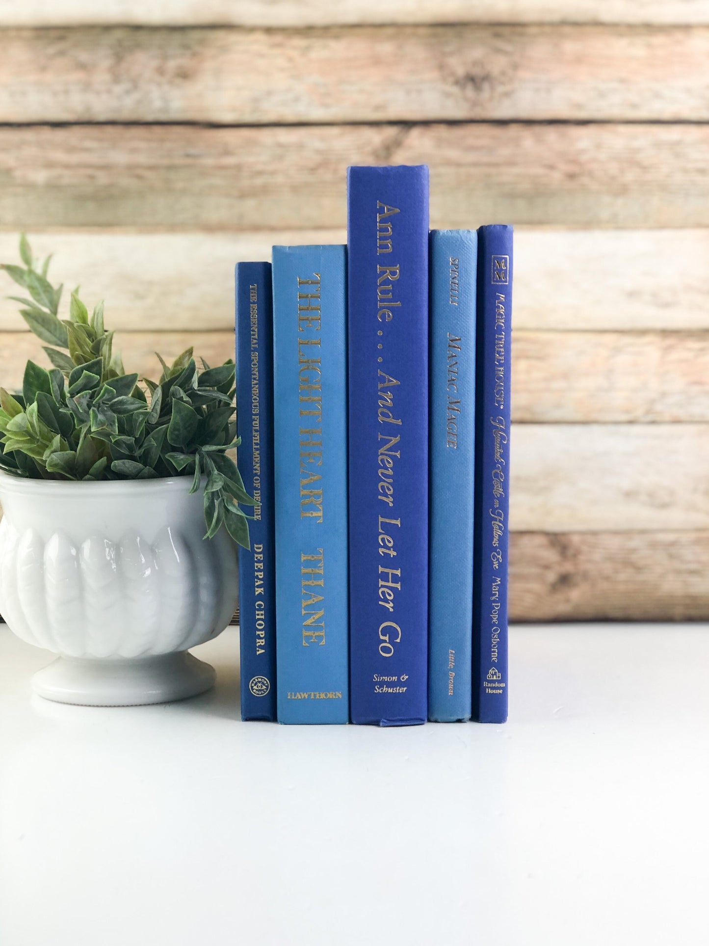 Blue Books for Shelf Decor
