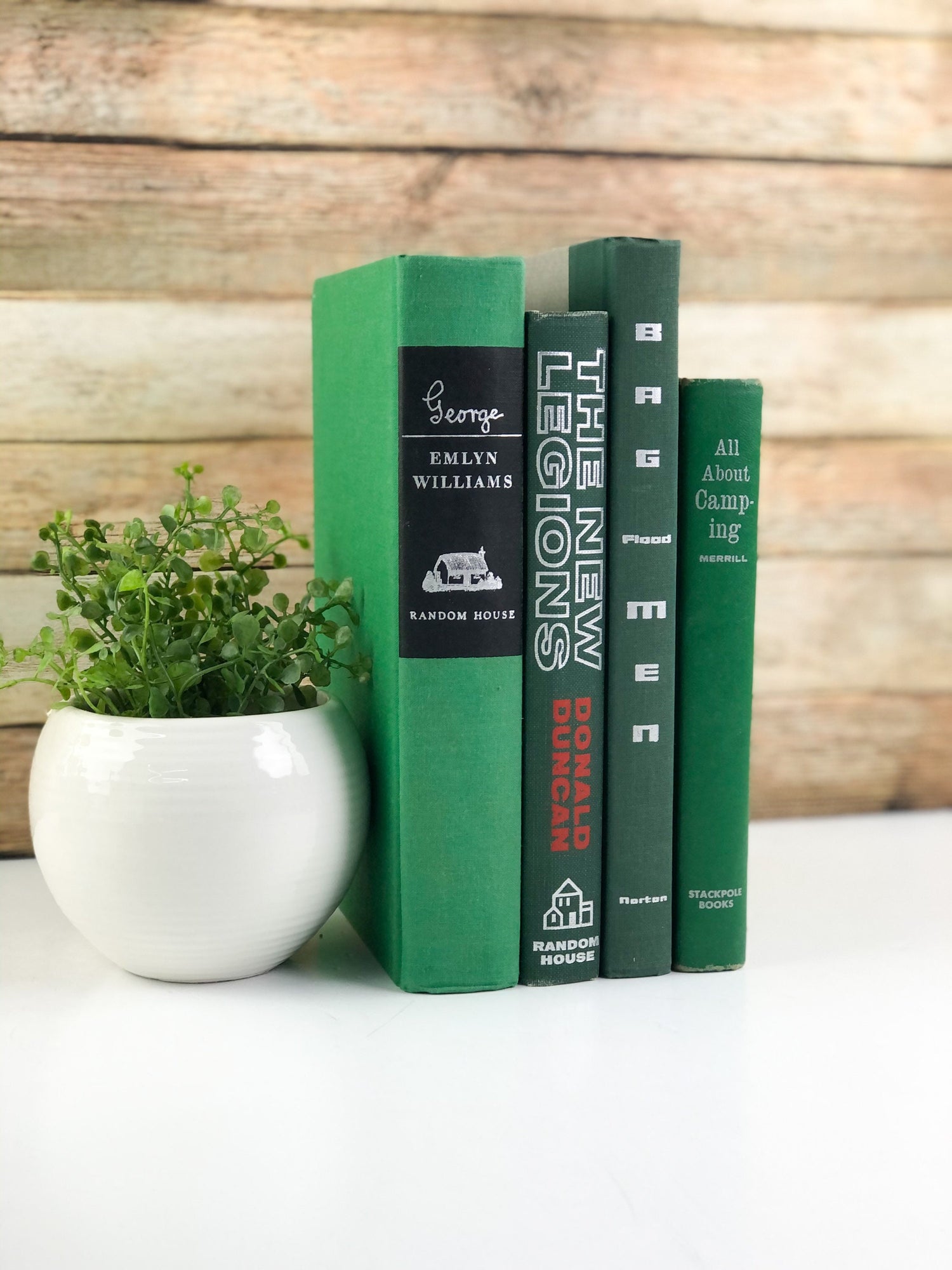 Green Modern Books for Shelf Decor