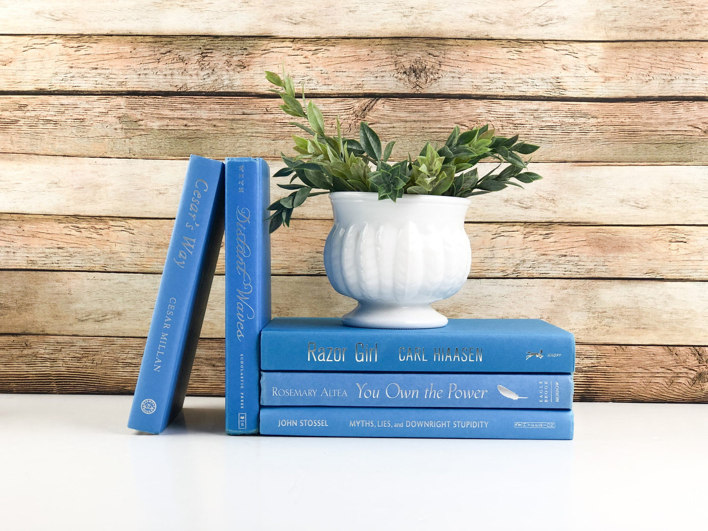 Sky Blue Decorative Book Set