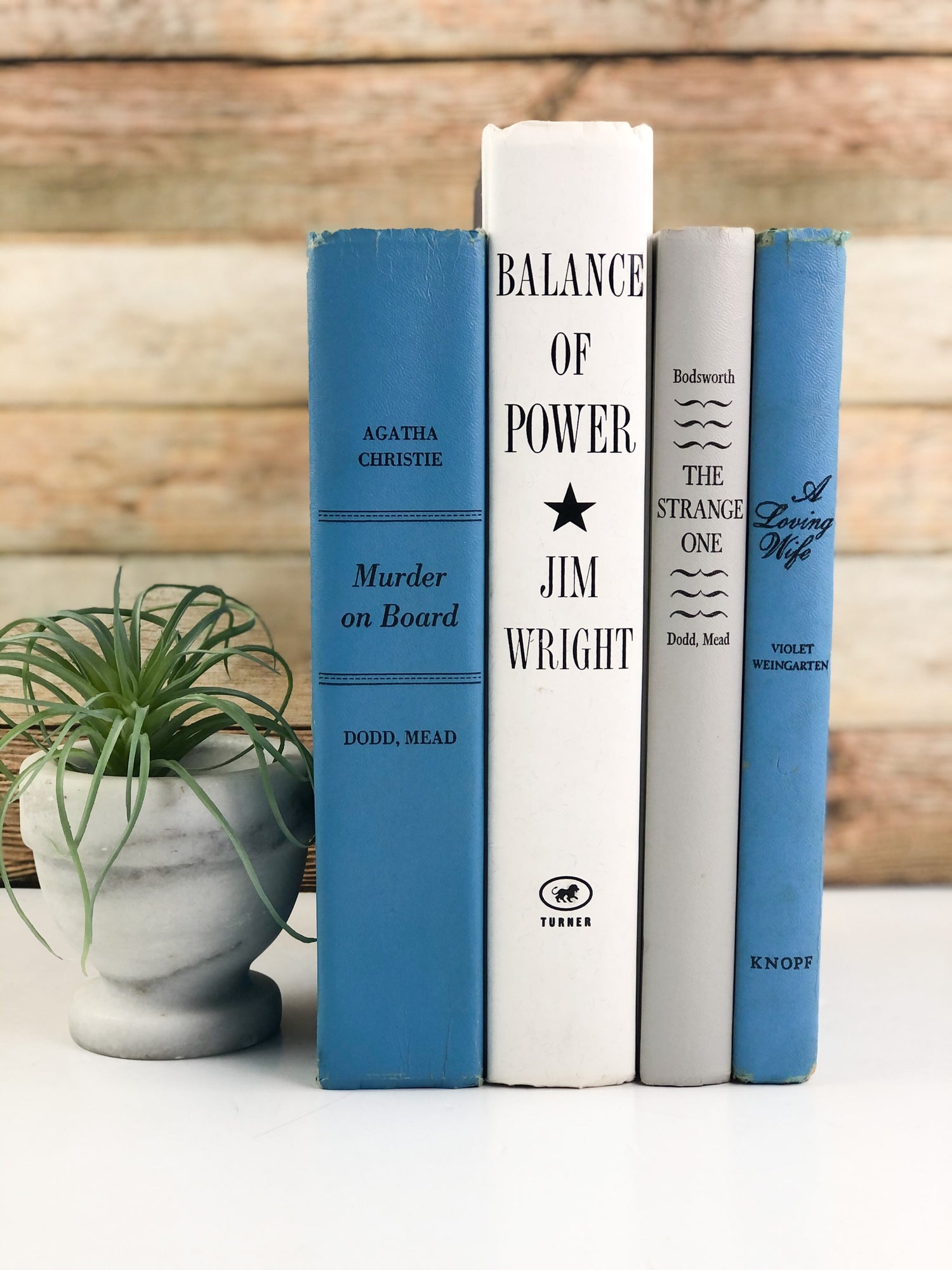 Blue and White Book Bundle