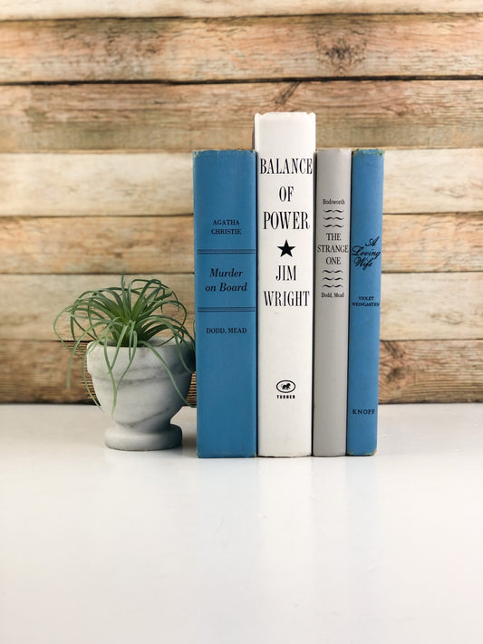 Blue and White Book Bundle