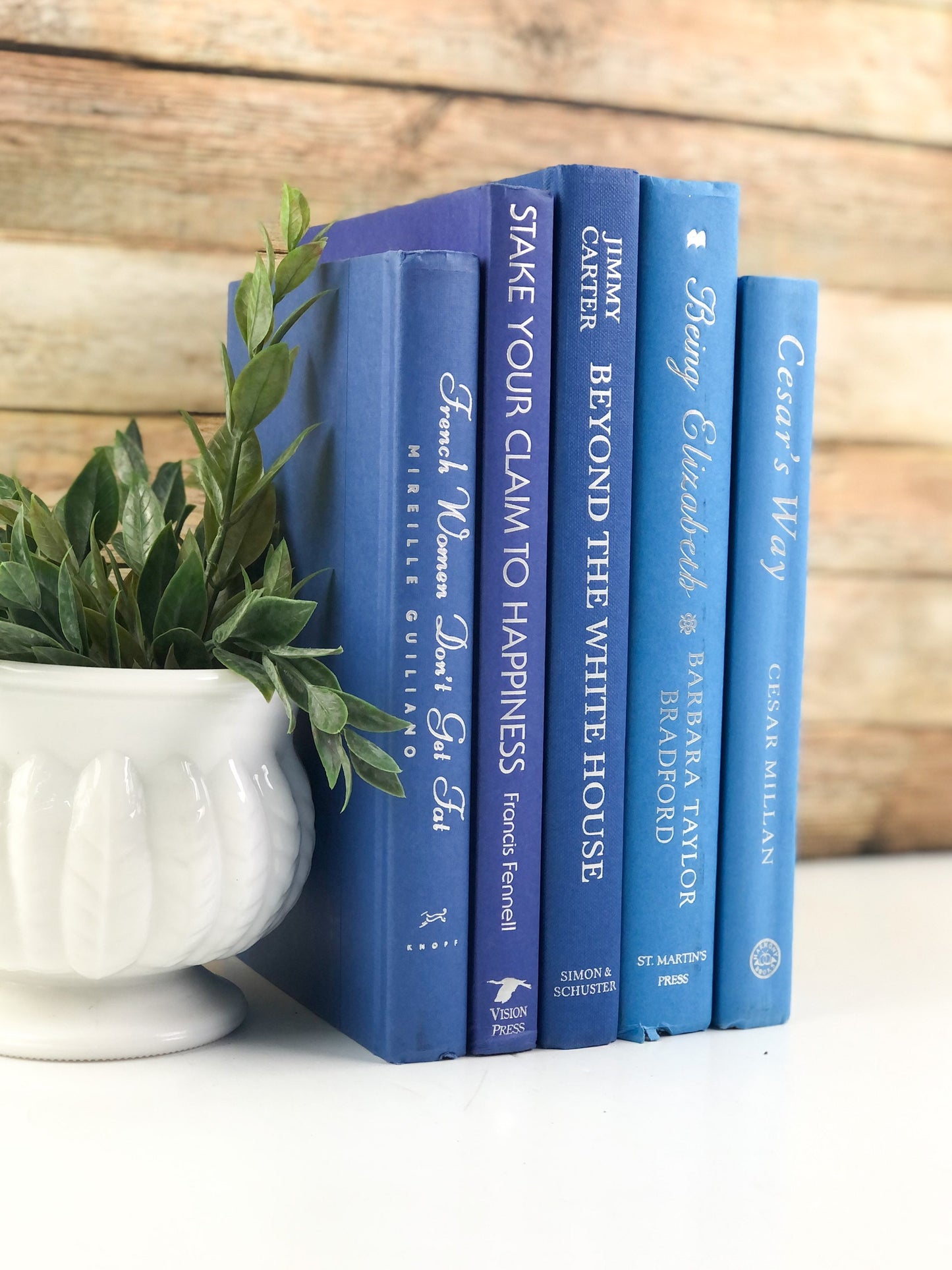 Blue Set of Books