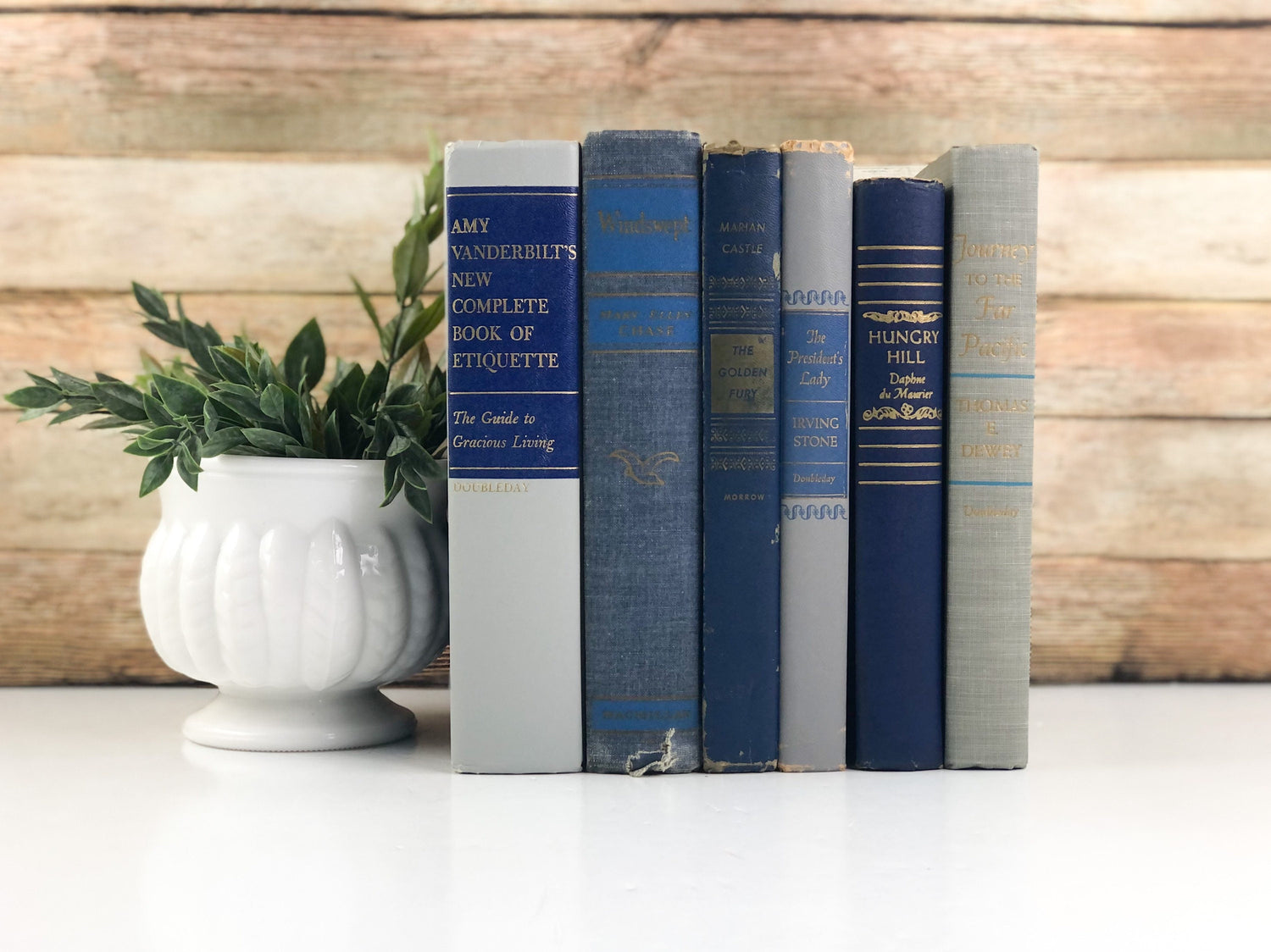 Blue and Gray Books for Decor