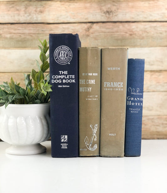 Blue and Tan Book Bundles