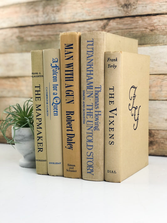 Blue and Cream Decorative Books