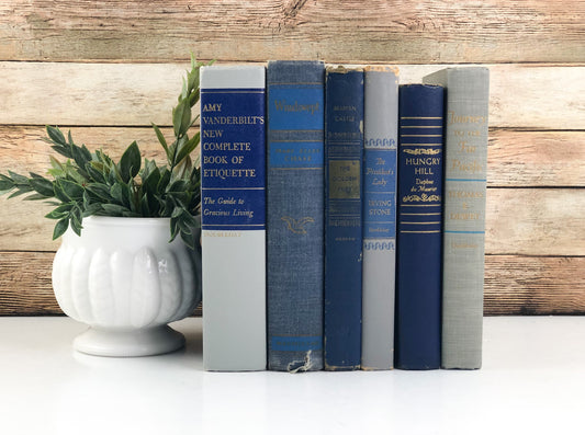 Blue and Gray Books for Decor
