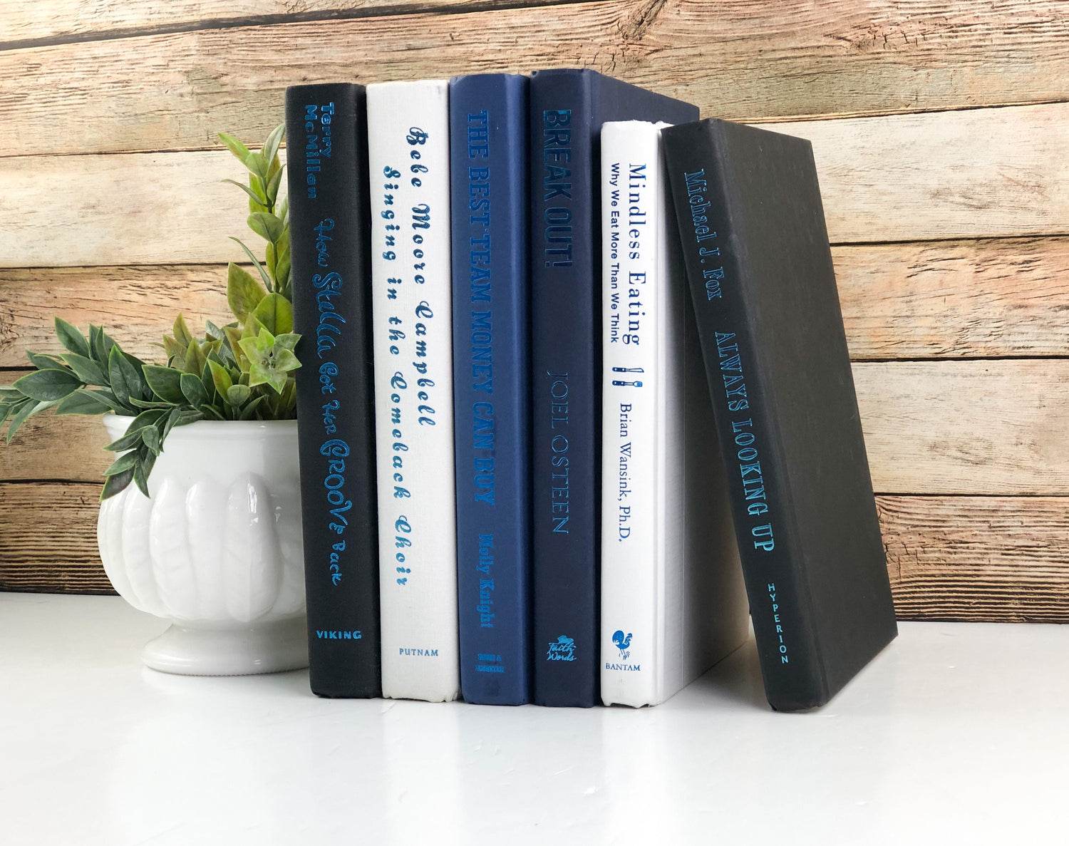 Blue Books for Shelf Decor