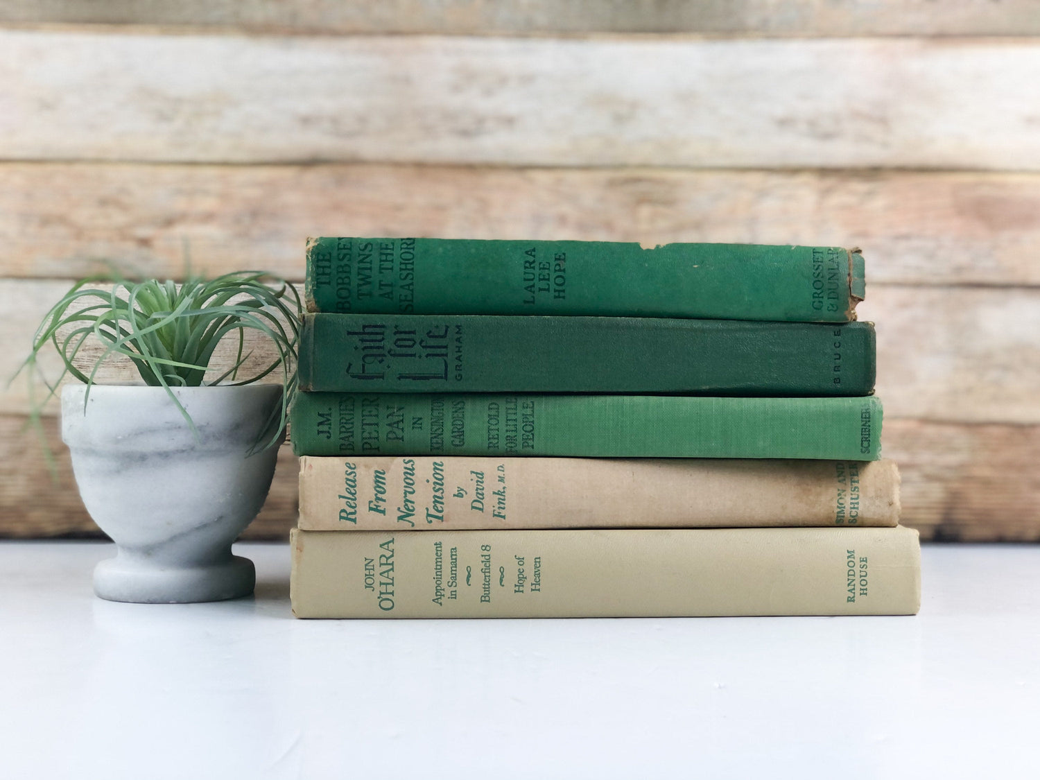 Green and Cream Staging Books