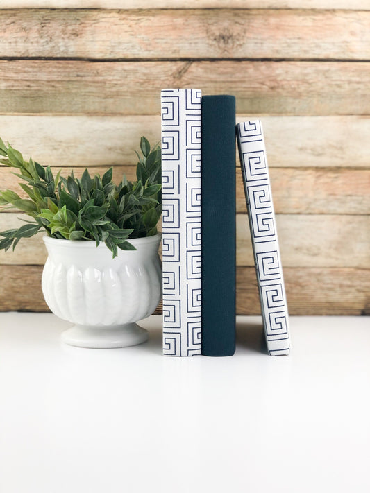 Blue and Green Shelf Decor / Books for Decor