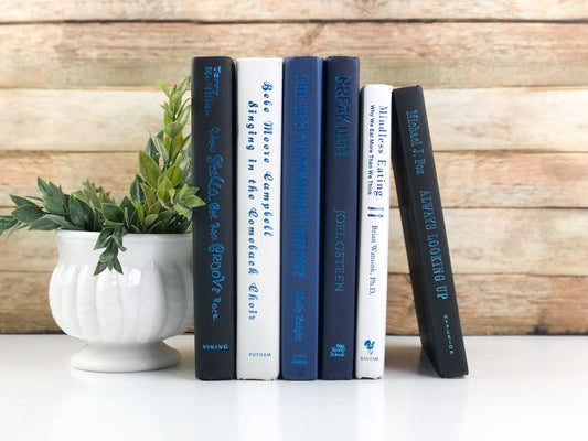 Blue Books for Shelf Decor